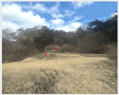  2024Ÿ��31381  �����