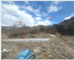  2024Ÿ��31381  �����