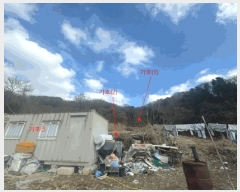  2024Ÿ��31381  �����