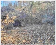  2024Ÿ��31381  �����