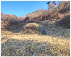  2024Ÿ��31381  �����