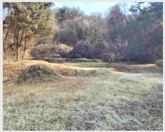  2024Ÿ��31381  �����