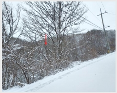  2024Ÿ��31541  �Ӿ߰��