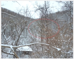  2024Ÿ��31541  �Ӿ߰��