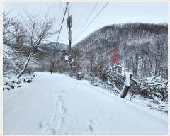  2024Ÿ��31541  �Ӿ߰��