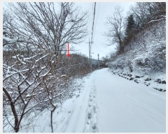  2024Ÿ��31541  �Ӿ߰��