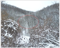  2024Ÿ��31541  �Ӿ߰��