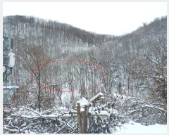  2024Ÿ��31541  �Ӿ߰��