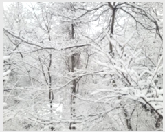  2024Ÿ��31541  �Ӿ߰��