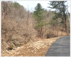  2024Ÿ��32575  �Ӿ߰��