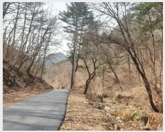  2024Ÿ��32575  �Ӿ߰��