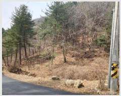  2024Ÿ��32575  �Ӿ߰��