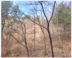  2024Ÿ��32575  �Ӿ߰��