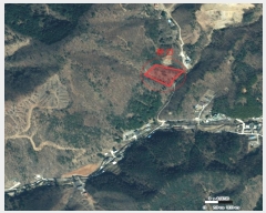  2024Ÿ��32575  �Ӿ߰��