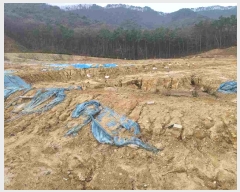  2024Ÿ��33073  �����