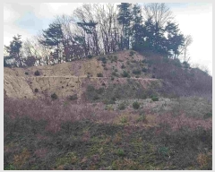  2024Ÿ��33073  �����