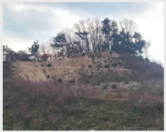  2024Ÿ��33073  �����