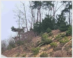  2024Ÿ��33073  �����