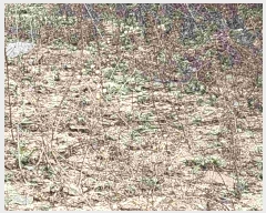  2024Ÿ��33073  �����