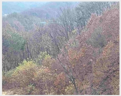  2024Ÿ��33073  �����