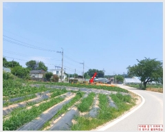  2024Ÿ��34977 ��� ��õ�� ���� ���긮 284-1      ����(����)���