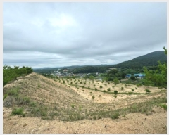  2024Ÿ��36164  �Ӿ߰��