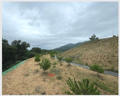  2024Ÿ��36164  �Ӿ߰��