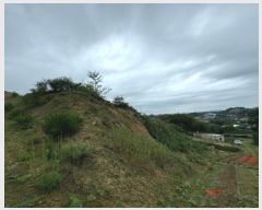  2024Ÿ��36164  �Ӿ߰��