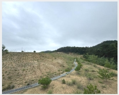  2024Ÿ��36164  �Ӿ߰��