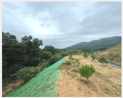  2024Ÿ��36164  �Ӿ߰��