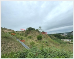  2024Ÿ��36164  �Ӿ߰��