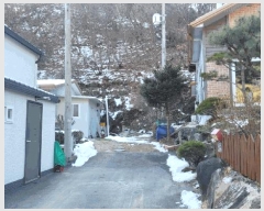  2024Ÿ��36652  ���ð��