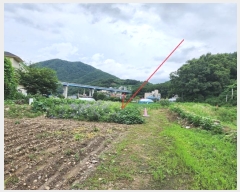  2024Ÿ��37181  ����