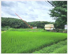  2024Ÿ��37181  ����