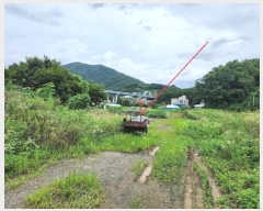  2024Ÿ��37181  ����