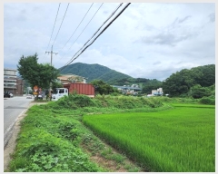  2024Ÿ��37181  ����