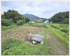  2024Ÿ��37181  ����