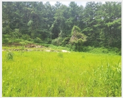  2024Ÿ��37242 ��� ���� ����� ���̸� 171      ����(��1)���