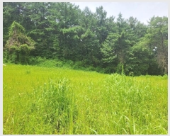  2024Ÿ��37242 ��� ���� ����� ���̸� 171      ����(��1)���