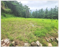  2024Ÿ��37242 ��� ���� ����� ���̸� 171      ����(��1)���