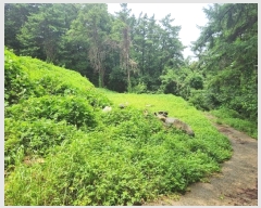  2024Ÿ��37242 ��� ���� ����� ���̸� 171      ����(��1)���