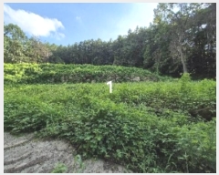  2024Ÿ��37242 ��� ���� ����� ���̸� 171      ����(��1)���