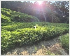  2024Ÿ��37242 ��� ���� ����� ���̸� 171      ����(��1)���