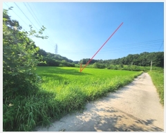  2024Ÿ��37563  ����