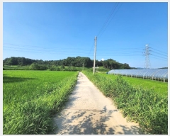  2024Ÿ��37563  ����