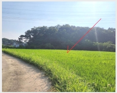  2024Ÿ��37563  ����