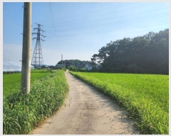  2024Ÿ��37563  ����