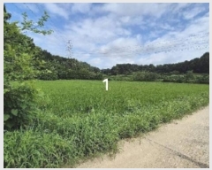  2024Ÿ��37563  ����