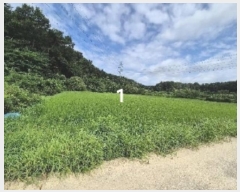  2024Ÿ��37563  ����