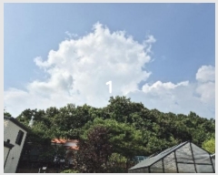  2024Ÿ��37754 ��� ���� ������ �������� 190-10      ����(�Ӿ�)���